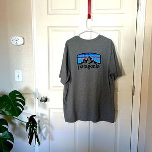 Patagonia tee